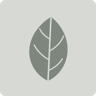 A single leaf with its veins