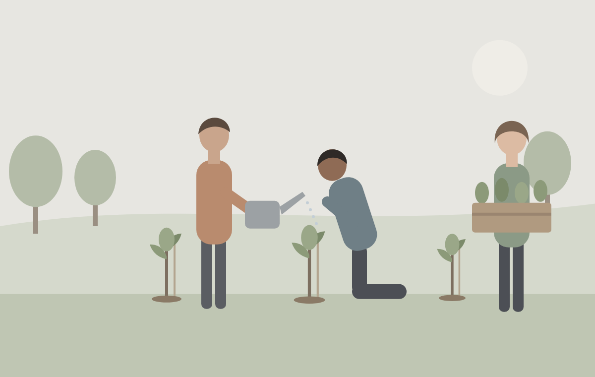 Three volunteers planting young trees: one kneels at a sapling, one waters it, one carries a crate of seedlings