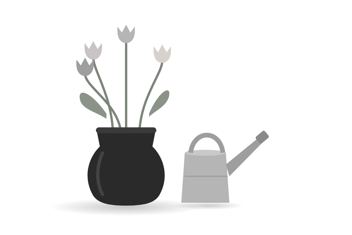 Tulips in a dark vase beside a watering can