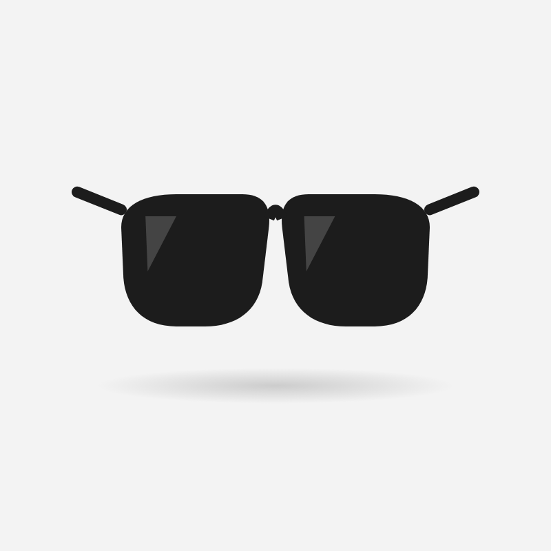 The Shore sunglasses in black